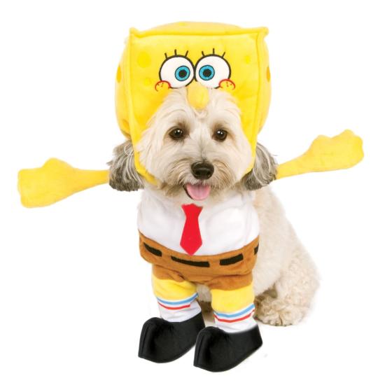 Disfraz de Bob Esponja para perro con capucha