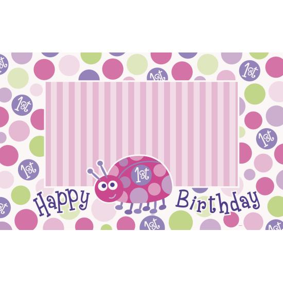 Set de 1º cumpleaños mariquita rosa