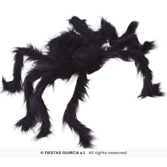 Araña negra, 70 cms.