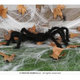 Araña negra, 70 cms.