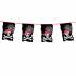 Banderines Piratas Calavera 10 m