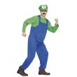 Disfraz  Fontanero Mario Bros Luigi adulto