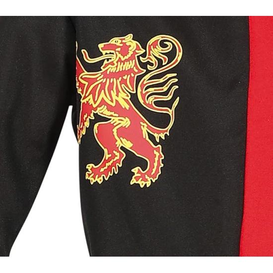 Disfraz de Caballero Medieval Niño