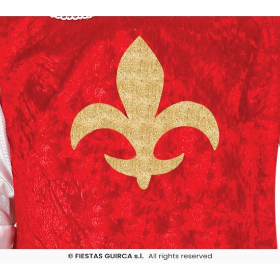 Disfraz de mosquetero valiente para niño