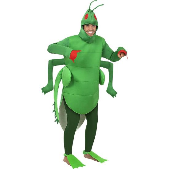 Disfraz de saltamontes para adulto