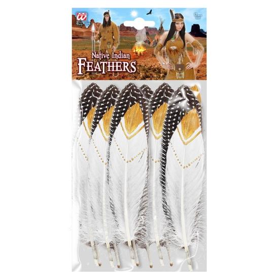 Set 12 Plumas indias *